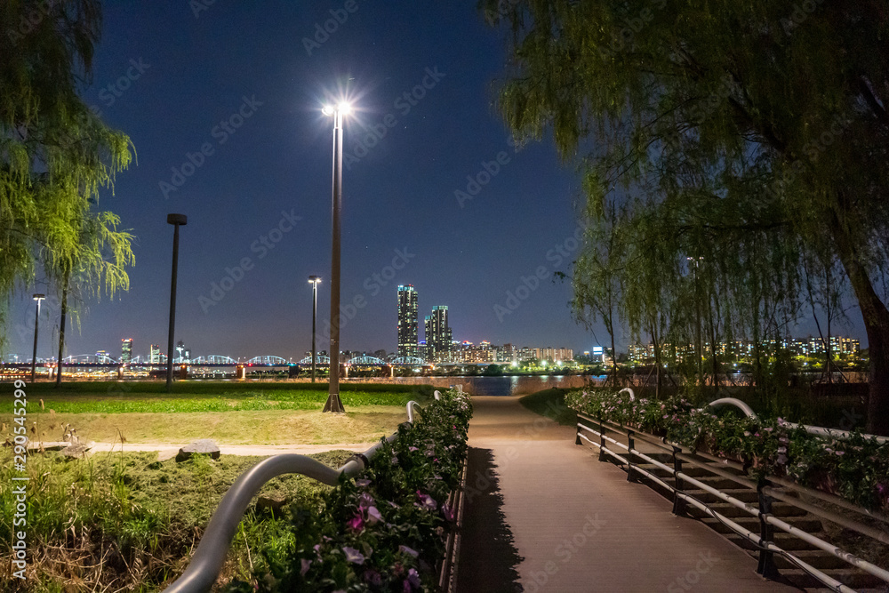 Obraz premium bridge over the river at night