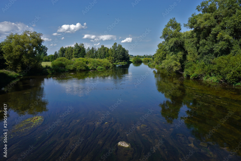 Fototapeta premium Donau nahe des Ursprungs bei Donaueschingen