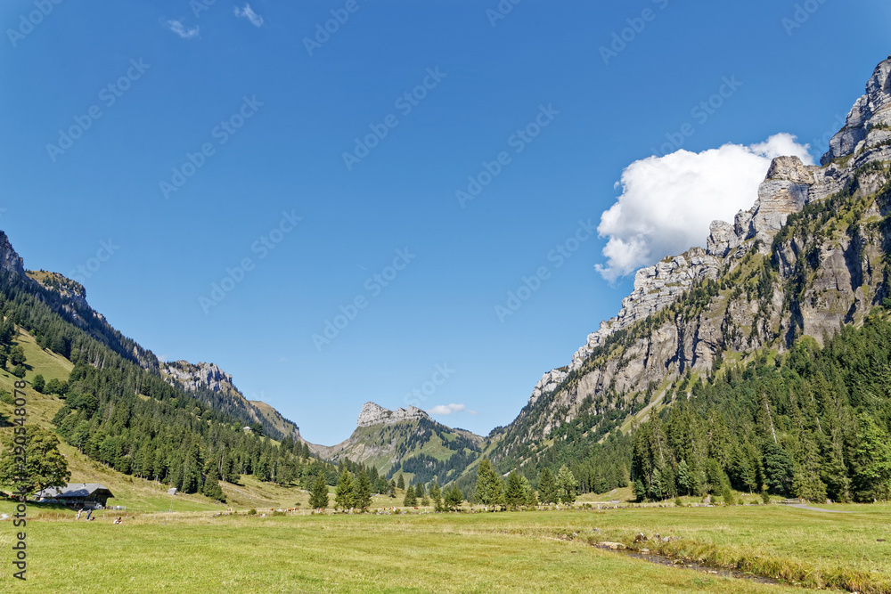 Vallée des Alpes Suisses