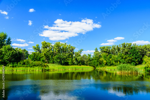 Summer landscape with the green trees and river