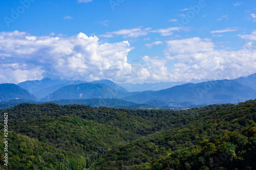 Mountains with Christmas trees against the blue sky with clouds. Beautiful panoramic view of firs and larches coniferous forest against blue sky.