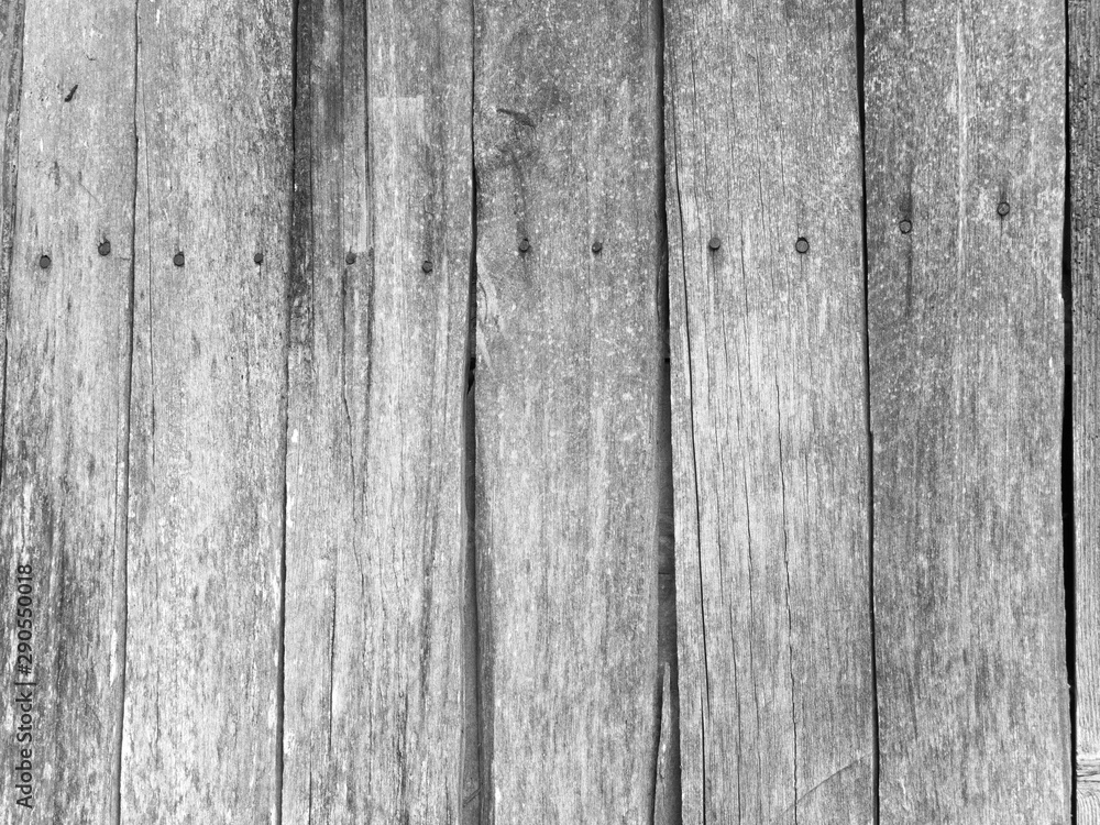 Fototapeta premium Old Wood Texture Wall