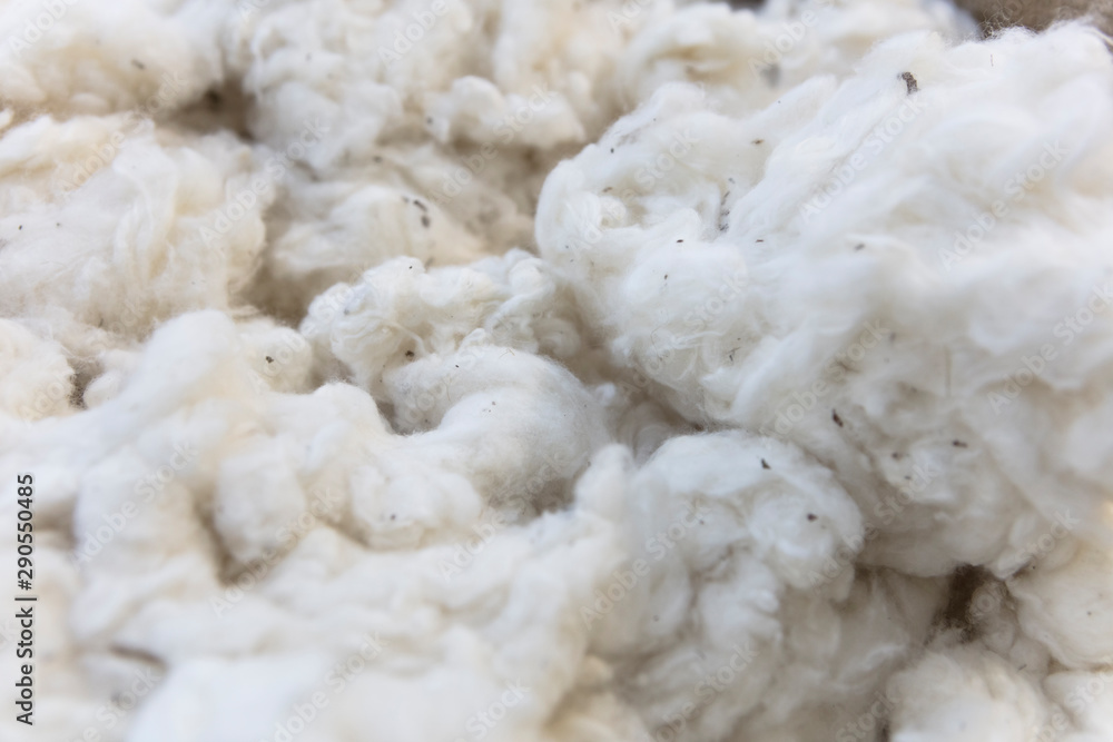 White cotton fluffs abstract White cotton fluffs abstract
