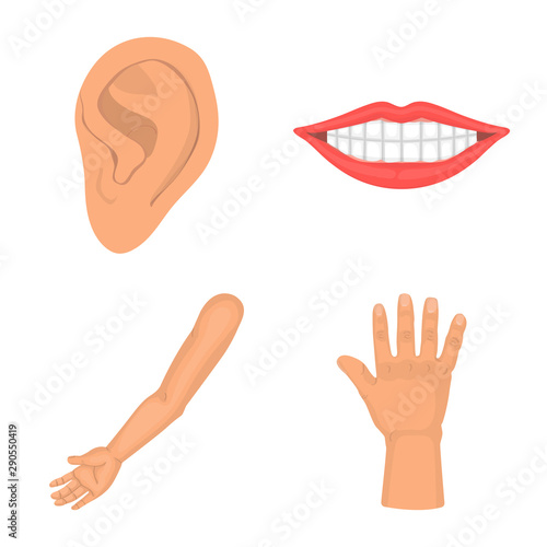 Vector illustration of body and part icon. Set of body and anatomy stock symbol for web.
