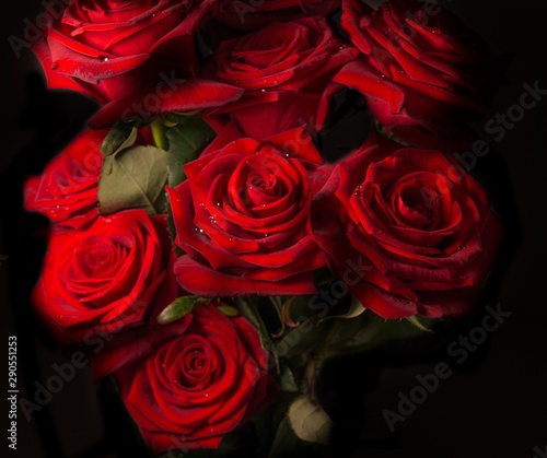 Red Roses