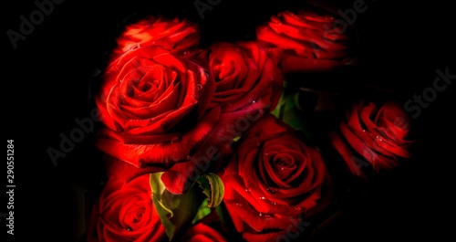 Fototapeta Naklejka Na Ścianę i Meble -  Red Roses