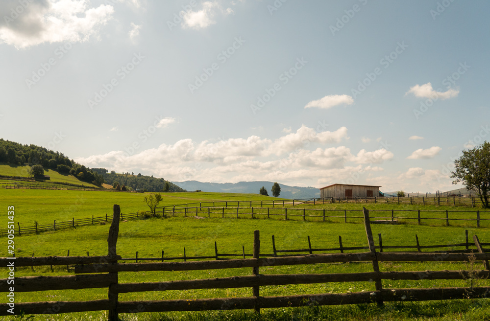Landscape from countryside in summer sunny day
