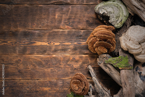 Old dried wood branches on brown wooden board background with copy space. photo