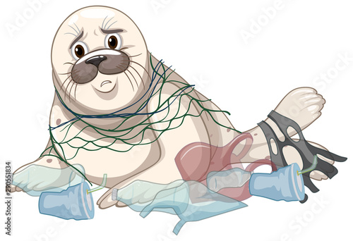 Seal gets caught with net and plastics