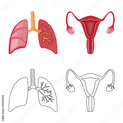 Isolated object of biology and scientific sign. Collection of biology and laboratory vector icon for stock.
