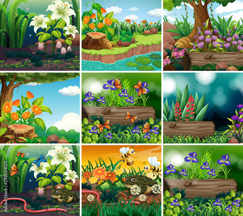 Set of background scene with nature theme