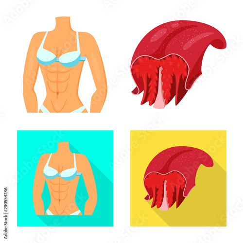 Vector illustration of fiber and muscular icon. Set of fiber and body stock vector illustration.