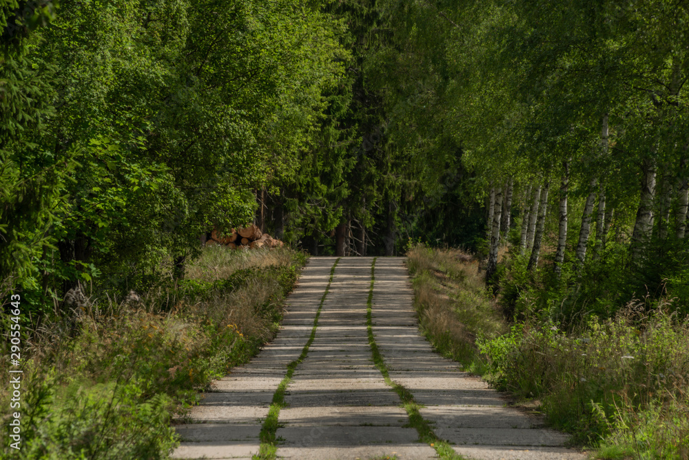 Concrete forest path in Slavkovsky Les national park in summer day Concrete forest path in Slavkovsky Les national park in summer day