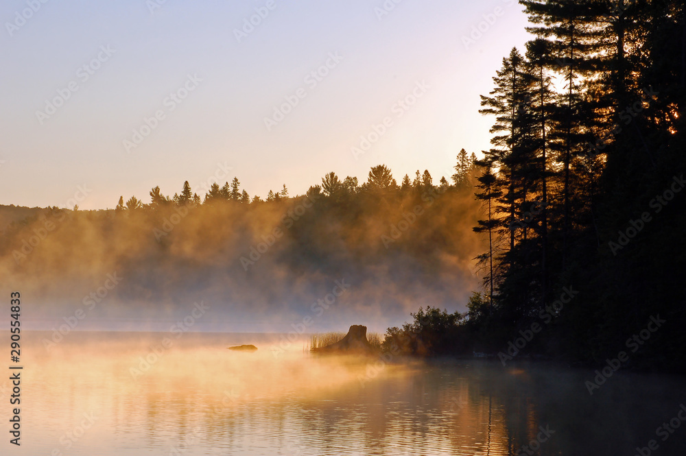 Fototapeta premium Sunrise and mist in beautiful lake in Algonquin Park