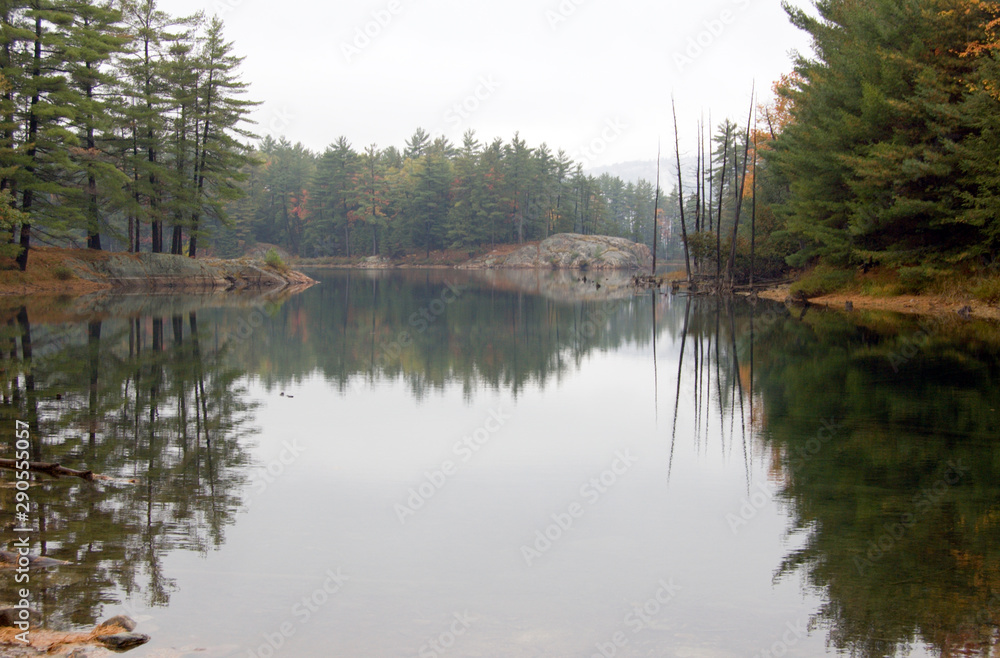 Reflection of colorful forest in lake surface in the overcast day.