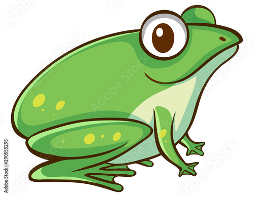 Wallpaper Mural Green frog on white background Torontodigital.ca