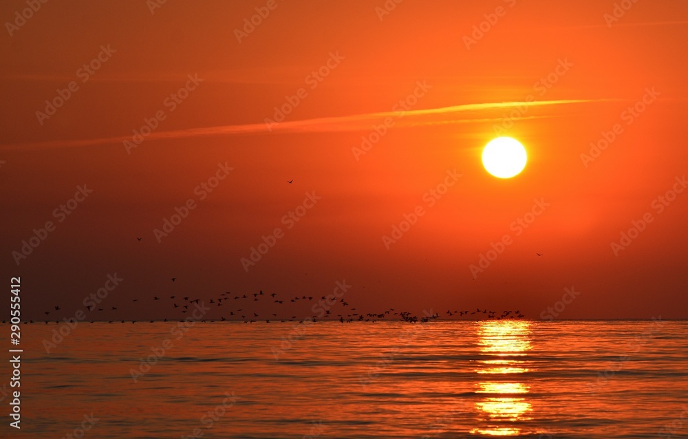 a sunrise at the seashore