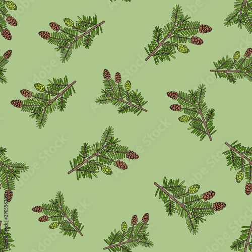 Seamless pattern with hand drawn canadian hemlock