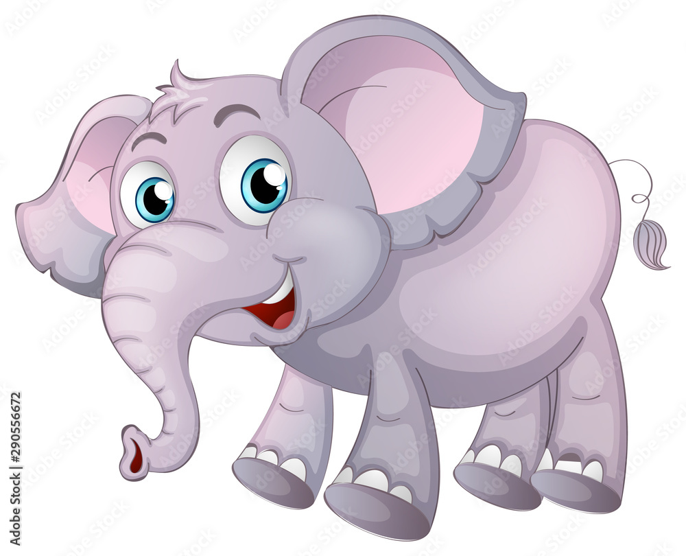 Elephant on white background Elephant on white background