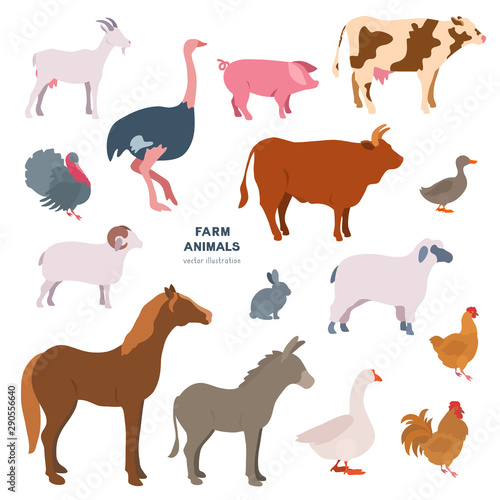 Farm animals vector illustration set.