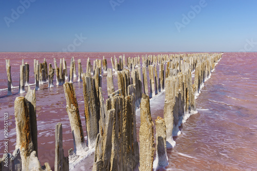 Beautiful view of the textured debris formwork wooden dam on the delightful pink lake Sasyk-Sivash in the West of the Crimean Peninsula, Yevpatoria. Blue sky