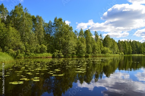 Finnish summer in Puolanka, northern Kainuu. Lake with water lilies. Verdant forest and clouds.