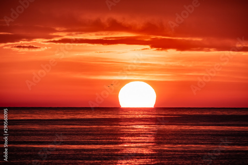 Fototapeta Naklejka Na Ścianę i Meble -  Beautiful red and orange sunset over the sea. The sun goes down over the sea. Two seagulls are flying against the sunset.