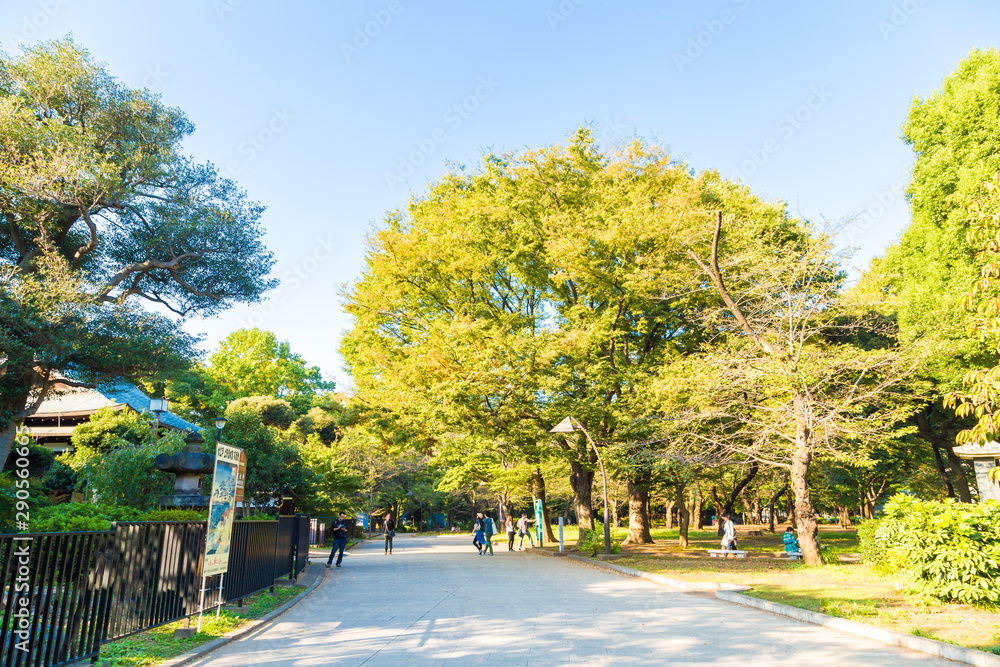 Ueno public city park with light of sunset in Tokyo