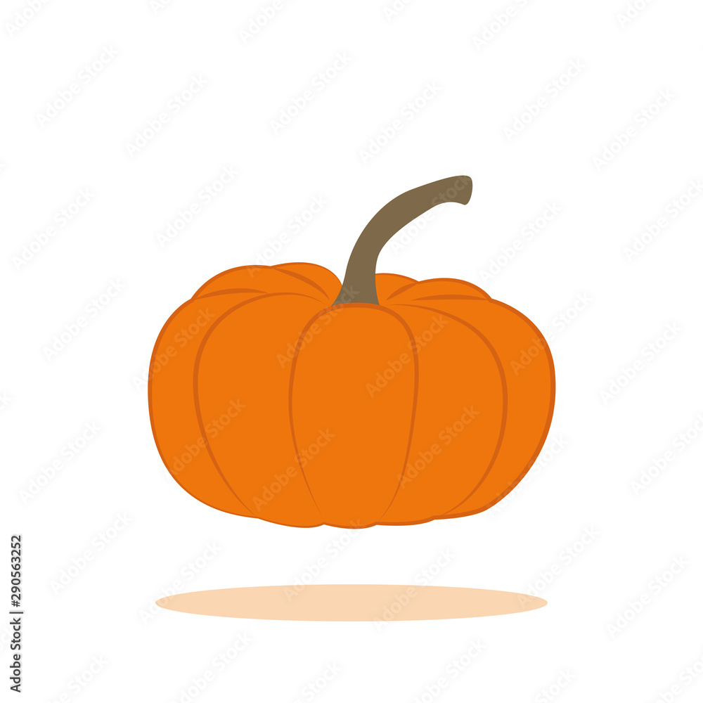 orange pumpkin isolated on white background vector illustration EPS10