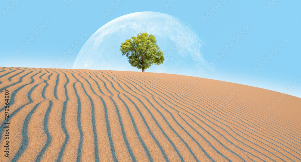 Global warming concept - Lone tree with full moon in desert dunes 
