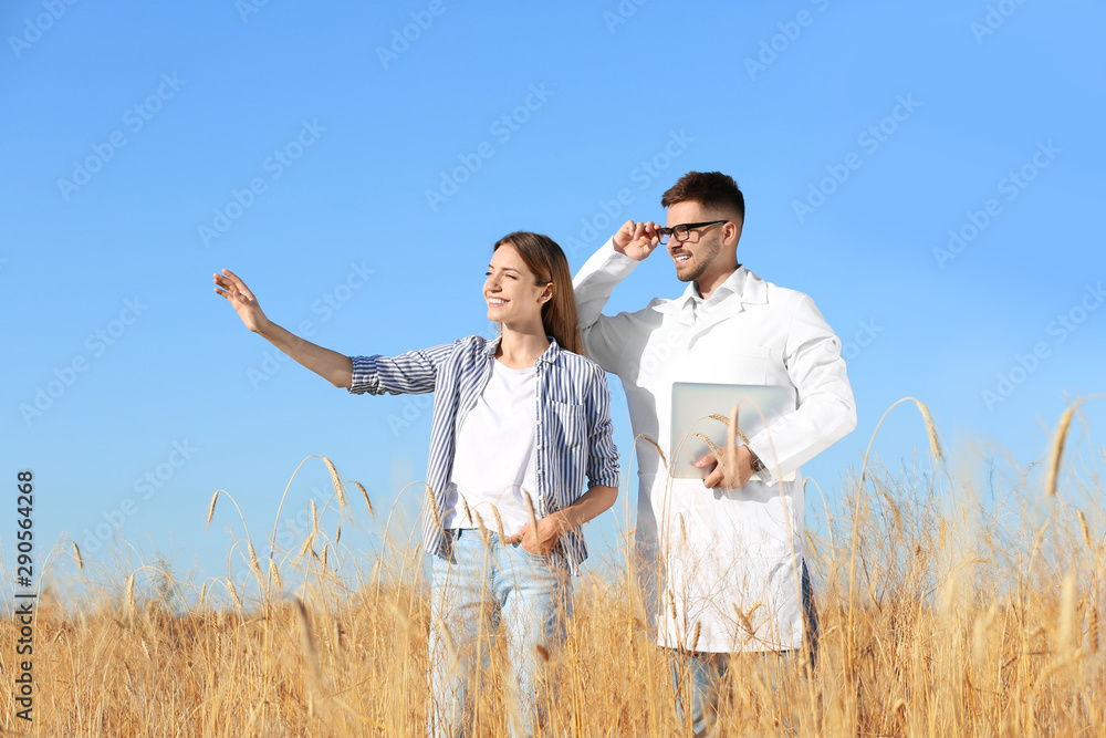 Agronomist with farmer in wheat field. Cereal grain crop Agronomist with farmer in wheat field. Cereal grain crop