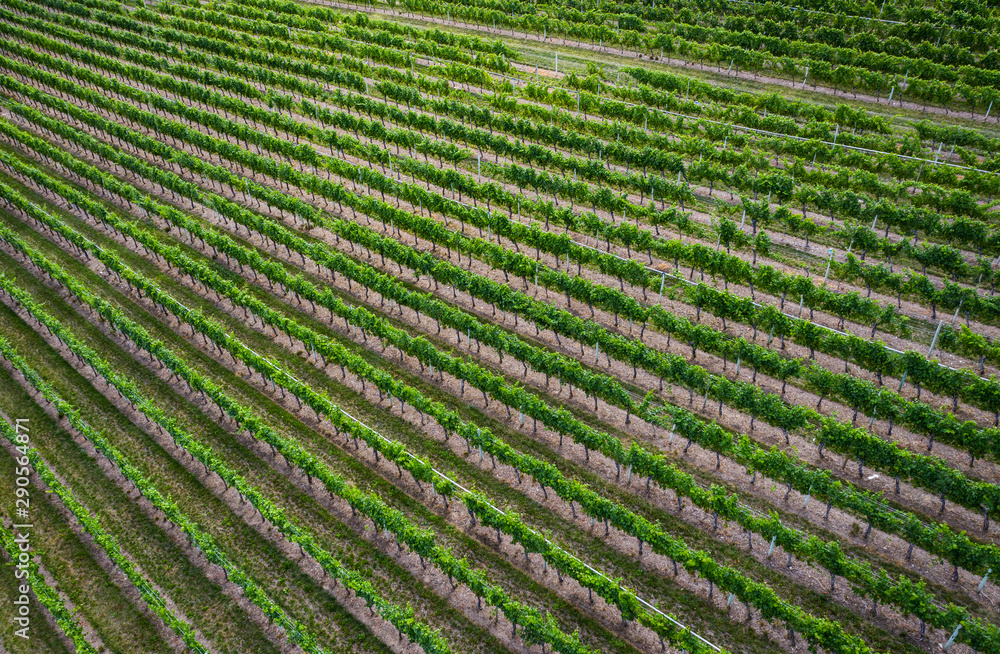 Aerial view of vineyard in the Okanagan Valley, British Columbia, Canada Aerial view of vineyard in the Okanagan Valley, British Columbia, Canada