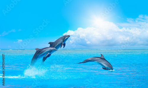 Group of dolphins jumping on the water
