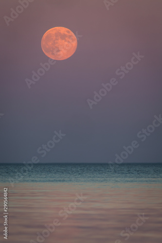 Pink moon rising