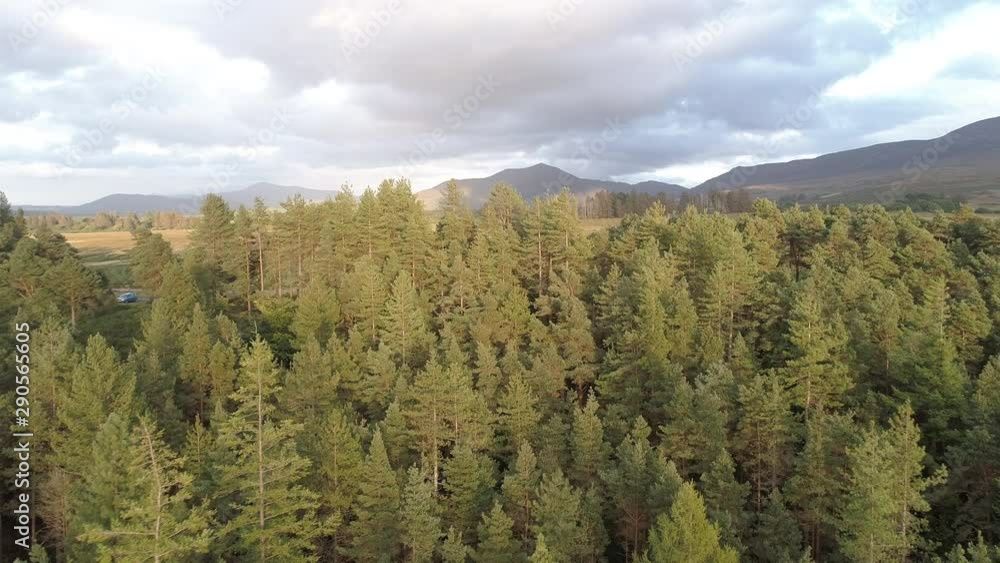 Rural mountain forest, wide aerial Rural mountain forest, wide aerial