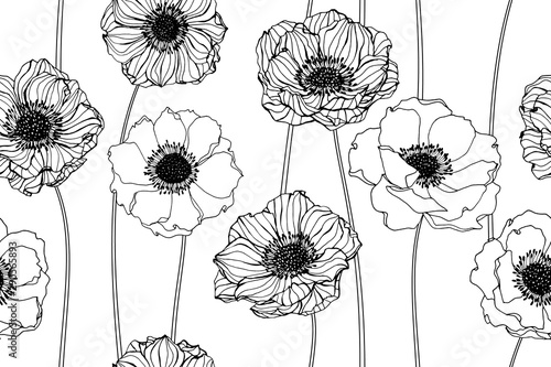 Obraz na płótnie Anemone flower and leaves pattern seamless background illustration