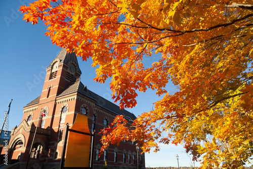 Fredericton city hall and autumn color photo
