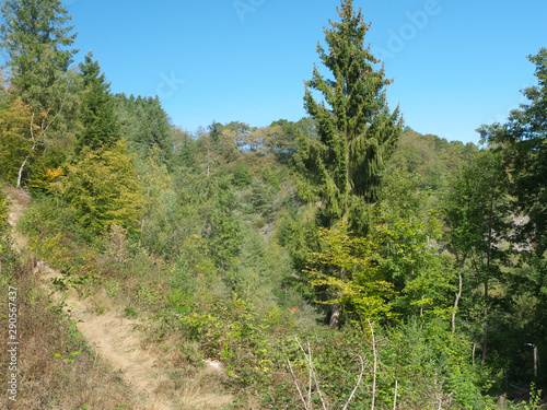 Diversifizierte Vegetation