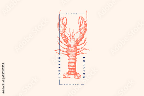 Graphically drawn lobster. Hand-drawn retro logo with sea animal in the style of engraving. Can be used for menu restaurants, fish markets and in stores. Vector vintage illustration.