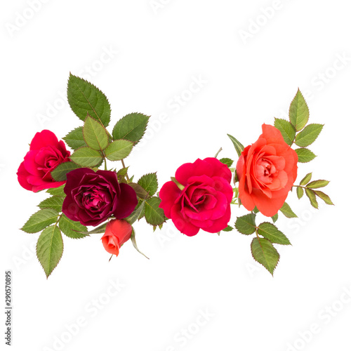 colorful rose flower bouquet with green leaves isolated on white background cutout