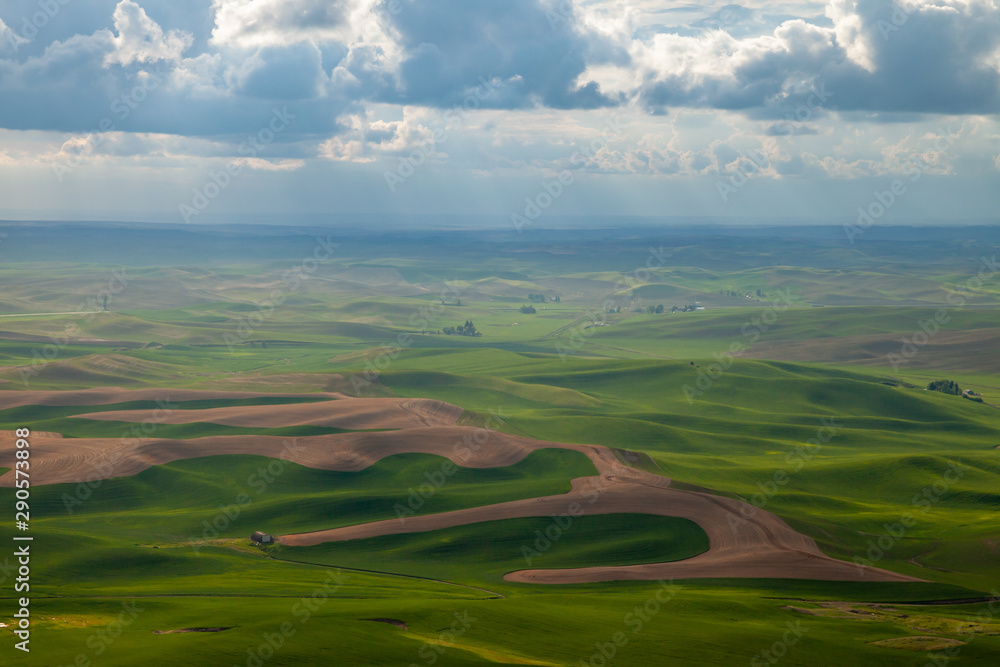 Aerial view of the farmland in the Palouse region of Eastern Washington state, USA
