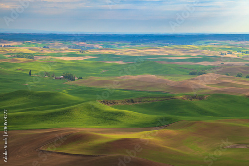 Aerial view of the farmland in the Palouse region of Eastern Washington state, USA © Tom Nevesely