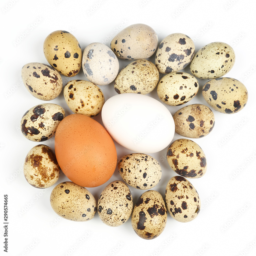 different chicken eggs on a white background
