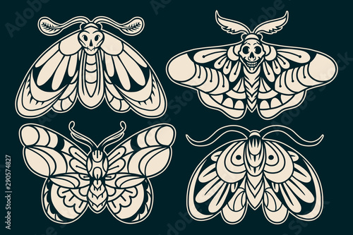 Moth hand drawing old school tattoo.
