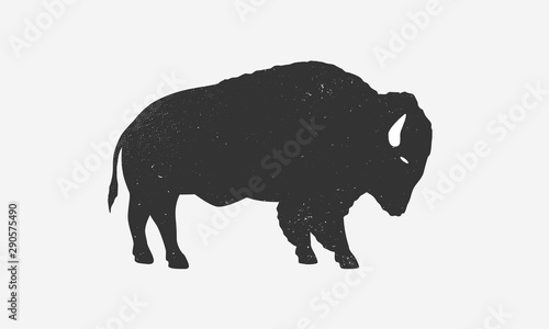 Bison icon silhouette with grunge texture. Buffalo silhouette isolated on white background. Vector illustration photo