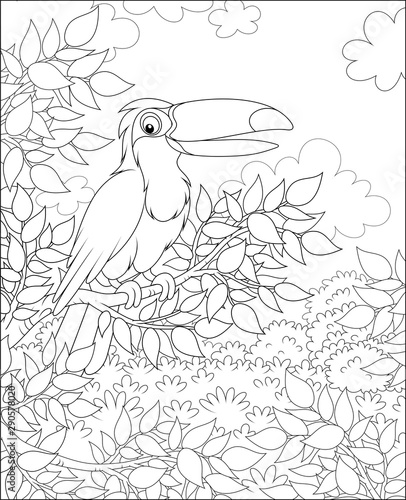 Toucan with a funny beak perched on a tree branch in tropical jungle, black and white vector illustrations in a cartoon style for a coloring book