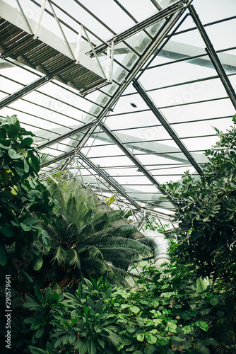 Botanischer Garten und Tropenhäuser in Hamburg