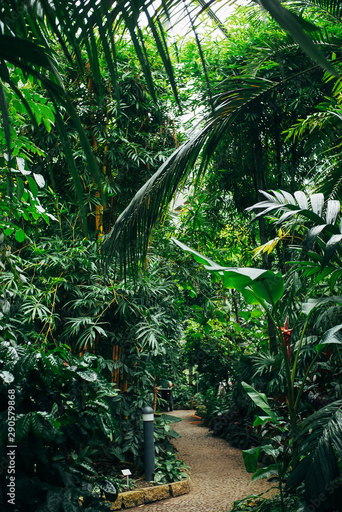 Botanischer Garten und Tropenhäuser in Hamburg