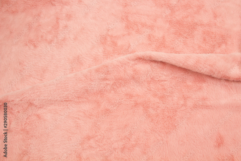 Fototapeta premium Colored fur. The texture of the fur . Close-up of sheep fur