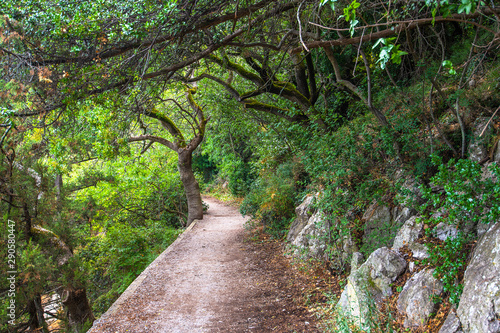 Obraz na plátně Sun trail - health-improving route in Livadia sanatorium during the USSR in Liva